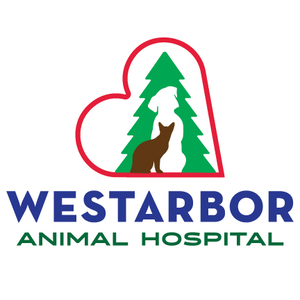 Team Page: Westarbor Animal Hospital